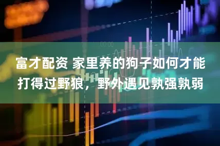 富才配资 家里养的狗子如何才能打得过野狼，野外遇见孰强孰弱