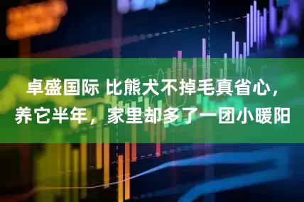 卓盛国际 比熊犬不掉毛真省心，养它半年，家里却多了一团小暖阳