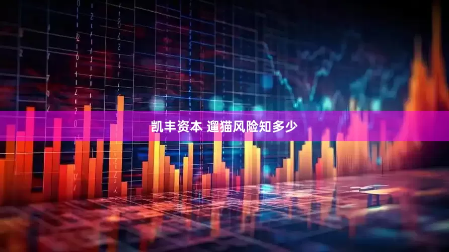 凯丰资本 遛猫风险知多少