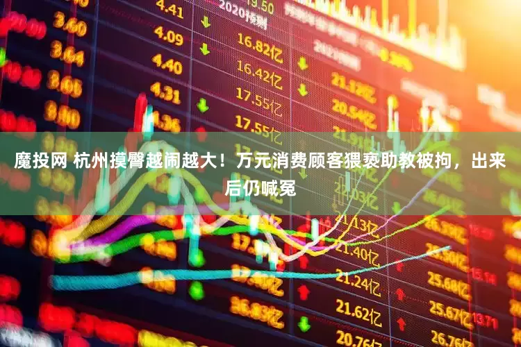 魔投网 杭州摸臀越闹越大！万元消费顾客猥亵助教被拘，出来后仍喊冤